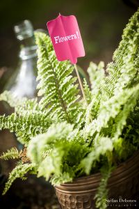 Shooting-inspiration-stefan-deboves-andralys-les-craneuses-7801