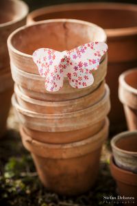 Shooting-inspiration-stefan-deboves-andralys-les-craneuses-7805