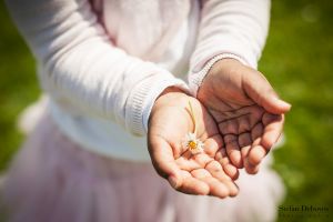 photographe, mariage, famille, portrait, amiens, picardie, stefan, deboves