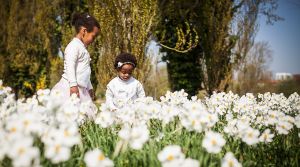 photographe, mariage, famille, portrait, amiens, picardie, stefan, deboves
